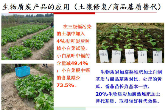 仟億達生物質(zhì)氣化發(fā)電帶來(lái)的社會(huì )效益